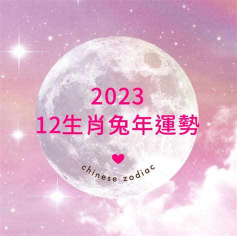 2023屬牛|【麥玲玲2023十二生肖整體運勢】2023兔年運勢＋十。